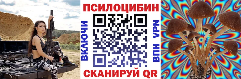 Галлюциногенные грибы мицелий  Знаменск 