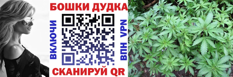 где купить наркоту  shop состав  Марихуана MAZAR  Знаменск  omg зеркало 